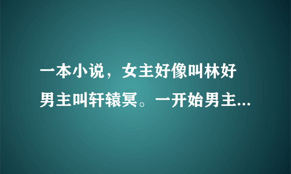 一本小说，女主好像叫林好 男主叫轩辕冥。一开始男主灵魂附在镯子上 ，后来女主穿越到了男主生活的时代