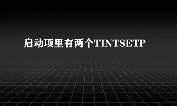 启动项里有两个TINTSETP