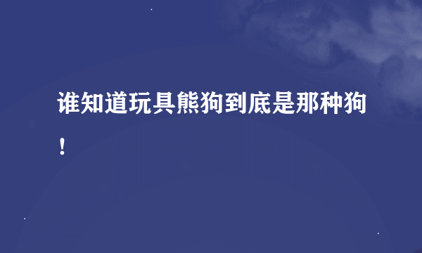 谁知道玩具熊狗到底是那种狗！