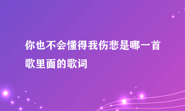 你也不会懂得我伤悲是哪一首歌里面的歌词