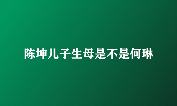 陈坤儿子生母是不是何琳