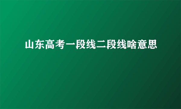 山东高考一段线二段线啥意思