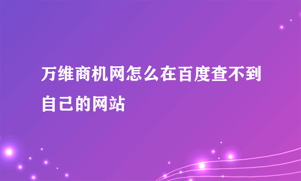 万维商机网怎么在百度查不到自己的网站