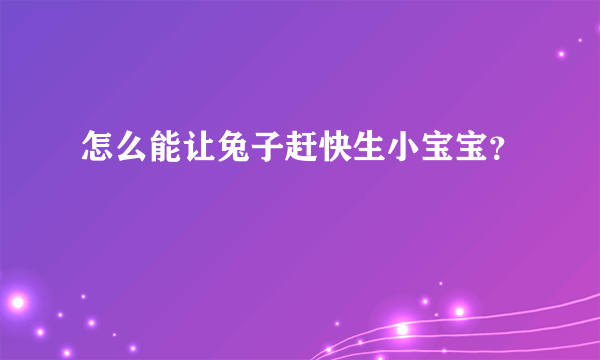 怎么能让兔子赶快生小宝宝？