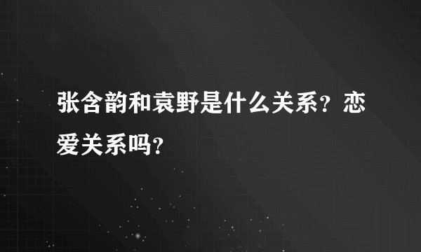 张含韵和袁野是什么关系？恋爱关系吗？