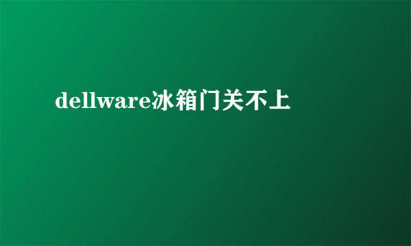 dellware冰箱门关不上