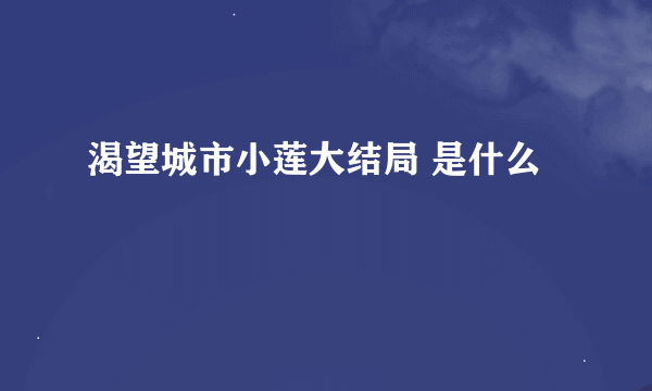 渴望城市小莲大结局 是什么