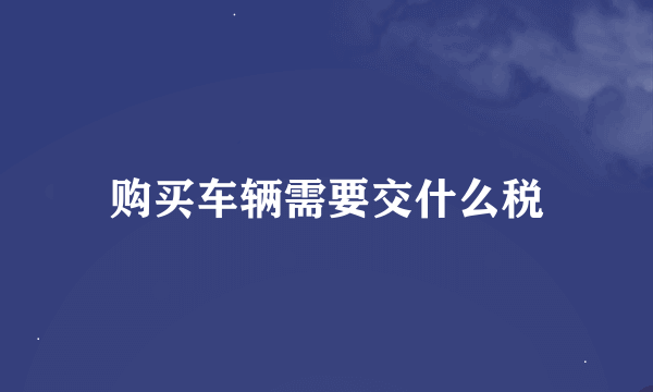 购买车辆需要交什么税