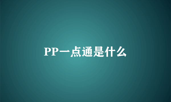 PP一点通是什么