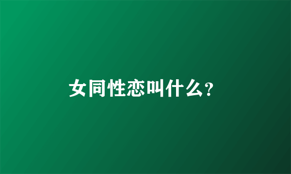 女同性恋叫什么？