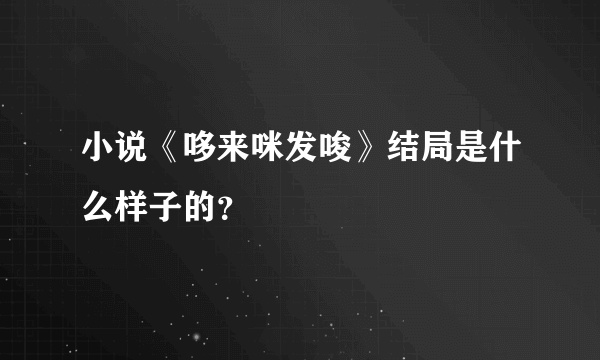 小说《哆来咪发唆》结局是什么样子的？