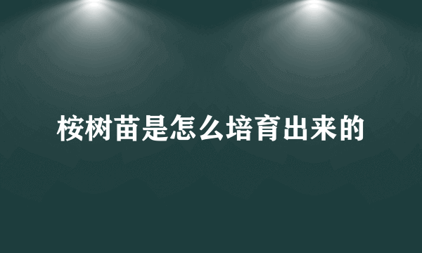 桉树苗是怎么培育出来的