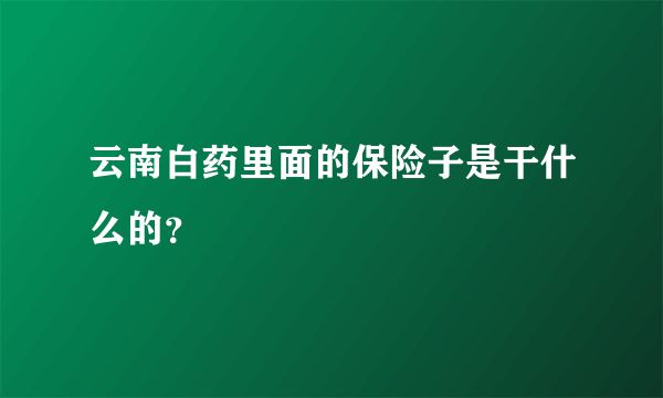 云南白药里面的保险子是干什么的？