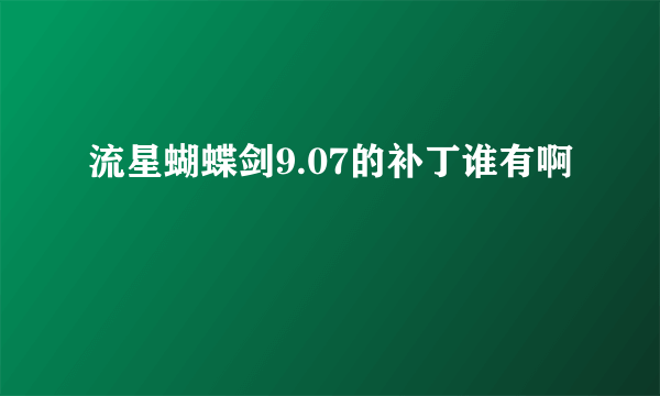 流星蝴蝶剑9.07的补丁谁有啊