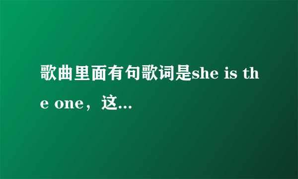 歌曲里面有句歌词是she is the one，这首歌名是什么？