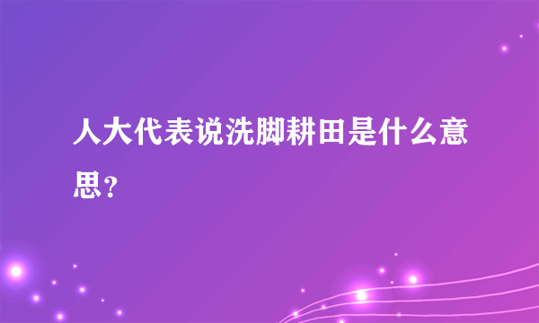 人大代表说洗脚耕田是什么意思？