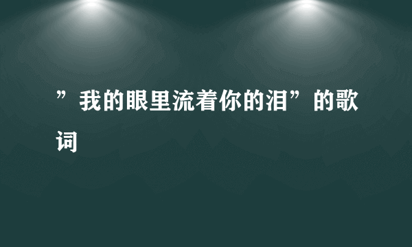 ”我的眼里流着你的泪”的歌词