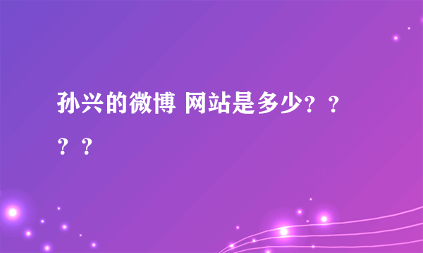 孙兴的微博 网站是多少？？？？