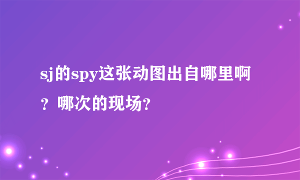 sj的spy这张动图出自哪里啊？哪次的现场？