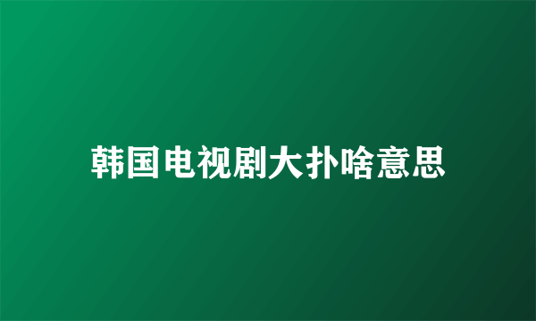 韩国电视剧大扑啥意思