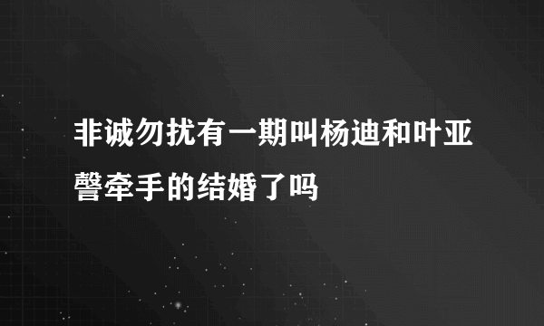 非诚勿扰有一期叫杨迪和叶亚謦牵手的结婚了吗