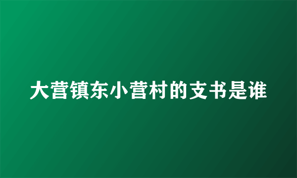 大营镇东小营村的支书是谁