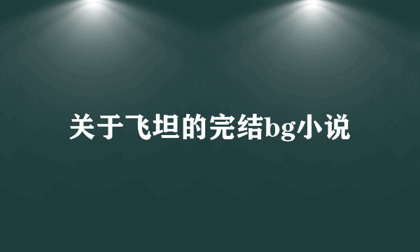 关于飞坦的完结bg小说