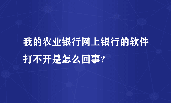 我的农业银行网上银行的软件打不开是怎么回事?