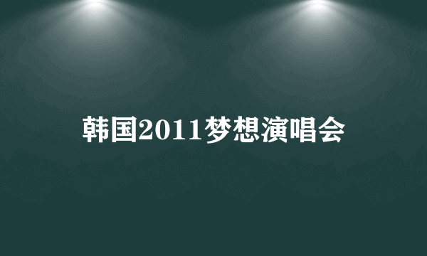 韩国2011梦想演唱会