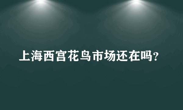 上海西宫花鸟市场还在吗？