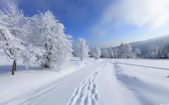 呼伦贝尔4月大雪纷飞，这种气候在当地是否很常见？