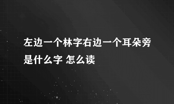 左边一个林字右边一个耳朵旁是什么字 怎么读