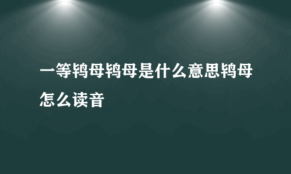 一等鸨母鸨母是什么意思鸨母怎么读音