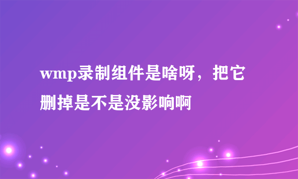 wmp录制组件是啥呀，把它删掉是不是没影响啊