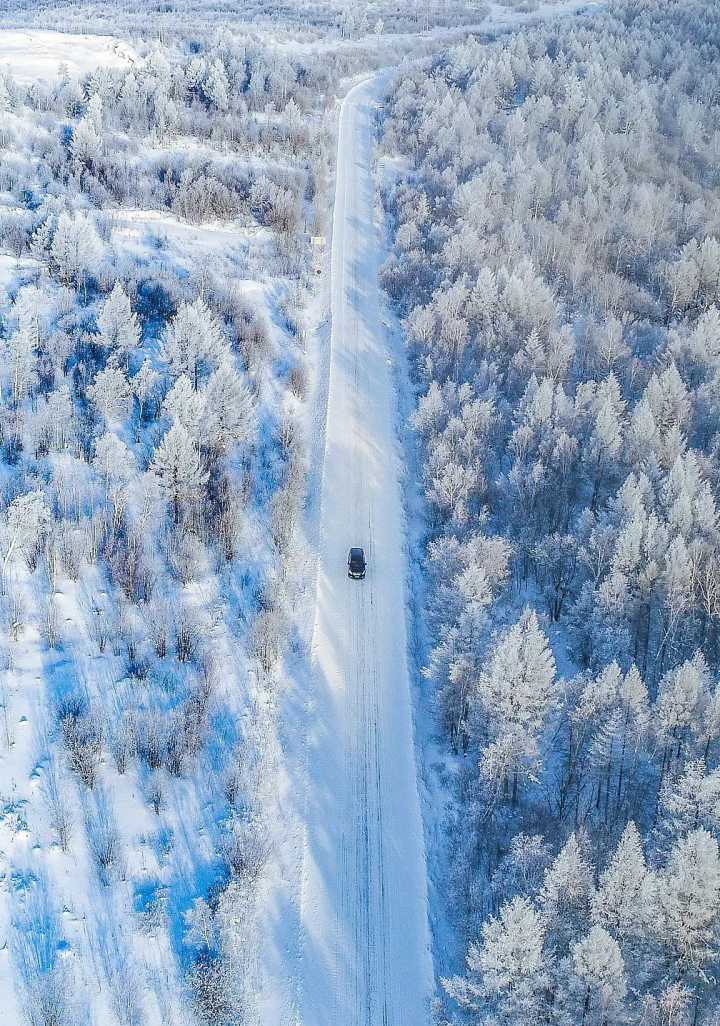 呼伦贝尔4月大雪纷飞，这种气候在当地是否很常见？