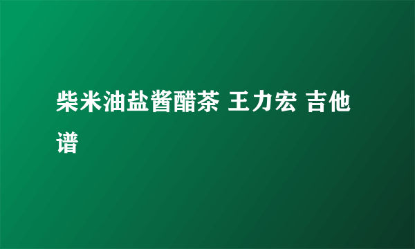 柴米油盐酱醋茶 王力宏 吉他谱