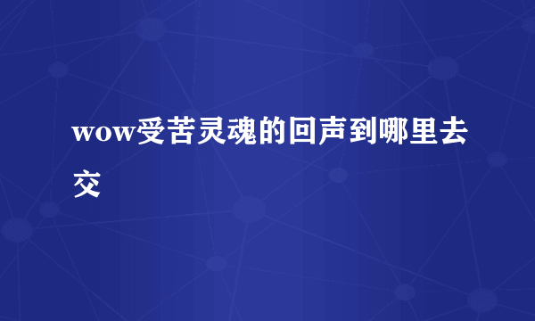 wow受苦灵魂的回声到哪里去交