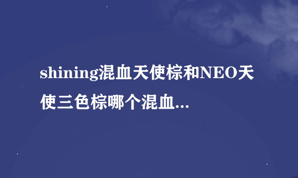 shining混血天使棕和NEO天使三色棕哪个混血效果更好？