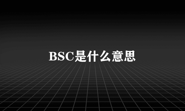 BSC是什么意思