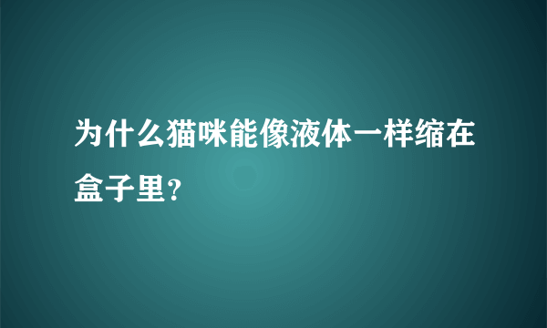 为什么猫咪能像液体一样缩在盒子里？