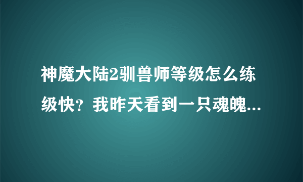 神魔大陆2驯兽师等级怎么练级快？我昨天看到一只魂魄既然抓不了。气死了