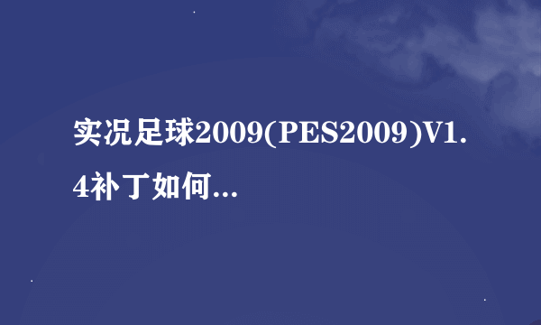 实况足球2009(PES2009)V1.4补丁如何安装还有V4.3d的安装如何操作？