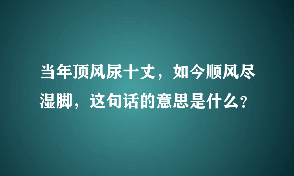 当年顶风尿十丈，如今顺风尽湿脚，这句话的意思是什么？