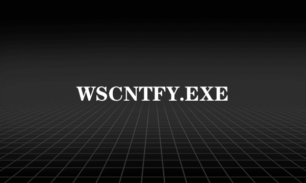 WSCNTFY.EXE