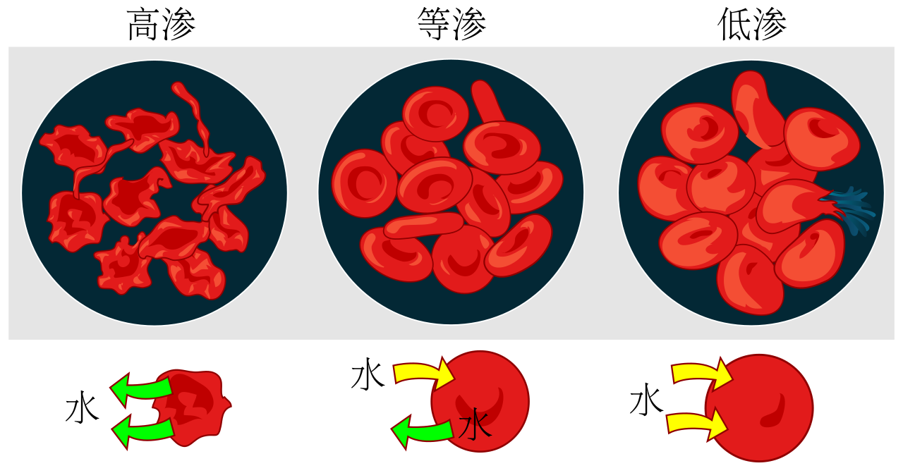 生物上的渗透压是什么意思 麻烦说通俗一点