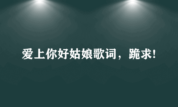 爱上你好姑娘歌词，跪求!