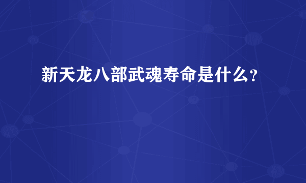 新天龙八部武魂寿命是什么？