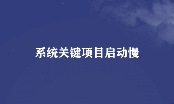 系统关键项目启动慢