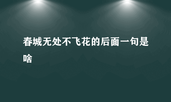 春城无处不飞花的后面一句是啥