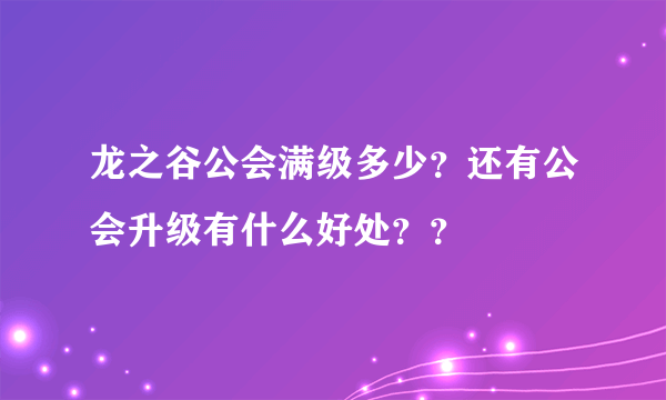 龙之谷公会满级多少？还有公会升级有什么好处？？